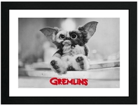 Gremlins - Gizmo - Photo encadrée - Unisexe - multicolor