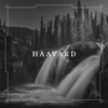 Haavard - Haavard - CD - Unisexe - multicolor