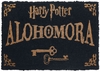 Harry Potter - Alohomora - Paillasson - Unisexe - multicolore