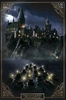 Harry Potter - Château de Poudlard - Poster - Unisexe - multicolore