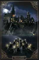 Harry Potter - Château de Poudlard - Poster - Unisexe - multicolore