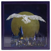 Harry Potter - Hedwige - Tirelire - Unisexe - multicolore