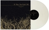 If These Trees Could Talk - If these trees could talk - LP - Unisexe - coloré
