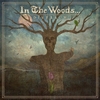 In The Woods - Diversum - CD - Unisexe - multicolor