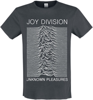 Joy Division - Amplified Collection - Unknown Pleasures - T-Shirt Manches courtes - Homme - anthracite