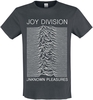 Joy Division - Amplified Collection - Unknown Pleasures - T-Shirt Manches courtes - Homme - anthracite