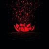 Lotus Thief - Oresteia - CD - Unisexe - multicolor
