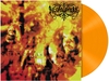 Necrophobic - The third antichrist - LP - Unisexe - coloré