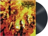 Necrophobic - The third antichrist - LP - Unisexe - multicolor
