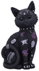 Nemesis Now - Bad to the Bone - Articles De Décoration - Unisexe - multicolor