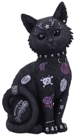 Nemesis Now - Bad to the Bone - Articles De Décoration - Unisexe - multicolor