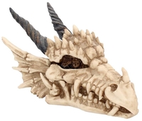 Nemesis Now - Boîte Dragon Skull - Articles De Décoration - Unisexe - multicolor