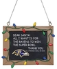 NFL - Baltimore Ravens - Tafelschild - Boules - Unisexe - multicolore