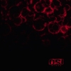 O.S.I. - Blood - CD - Unisexe - multicolor