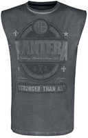 Pantera - EMP Signature Collection - Débardeur - Homme - gris