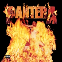 Pantera - Reinventing the steel - LP - Unisexe - noir