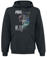 Pink Floyd - Wish You Were Here Splice - Sweat-shirt à capuche - Homme - noir