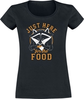 Pocahontas - Meeko - T-Shirt Manches courtes - Femme - noir