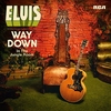 Presley,  Elvis - Way down in the jungle room - CD - Unisexe - multicolor