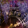 QNTAL - IX - Time stands still - CD - Unisexe - multicolor