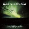 Sentenced - North from here - CD - Unisexe - multicolor