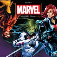 She-Hulk - Wandkalender 2023 - Calendrier mural - Unisexe - multicolore