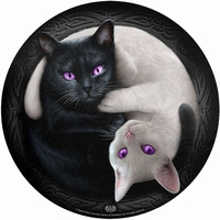 Spiral - Chats Ying Yang - Planche à découper - Unisexe - multicolore