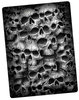 Spiral - Twisted Skulls - Couverture - Unisexe - multicolore