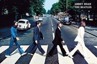 The Beatles - Abbey Road - Poster - Unisexe - multicolore