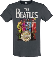 The Beatles - Amplified Collection - Lonely Hearts - T-Shirt Manches courtes - Homme - anthracite