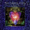 The Flower Kings - Space revolver - CD - Unisexe - multicolor