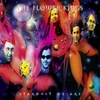 The Flower Kings - Stardust we are - CD - Unisexe - multicolor