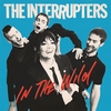 The Interrupters - In the wild - CD - Unisexe - multicolor