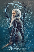 The Witcher - Ciri The Swallow - Poster - Unisexe - multicolore