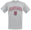 University - Harvard - Shield - T-Shirt Manches courtes - Homme - gris