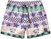 Vans - CALIFORNIA STRIPE VOLLEY,  Stranger Things x Vans - Short - Homme - multicolore