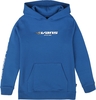 Vans - Reflective Checkerboard Flame - Sweat-shirt à capuche - Homme - bleu
