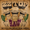 ZZ Top - RAW (That little ol