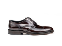 Volta - Derbies Wing Derby Homme Cuir Poli Café