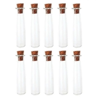 10 mini tubes en verre 4 cm