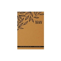 100 feuilles de papier kraft A4 - 80 g/ m