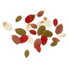 24 feuilles d