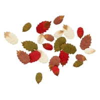 24 feuilles d