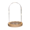 Cloche en verre lumineuse 21, 5 cm x