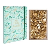 Daily journal + 150 punaises dor