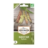 Haricots nain Big Borlotto bio - Graines