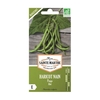 Haricots nain bio Pongo Filet - Graines