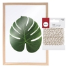 Herbier mural A4 + Ficelle dor