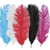 Kit de plumes d