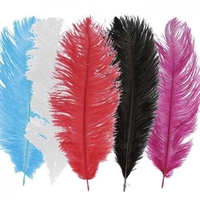 Kit de plumes d